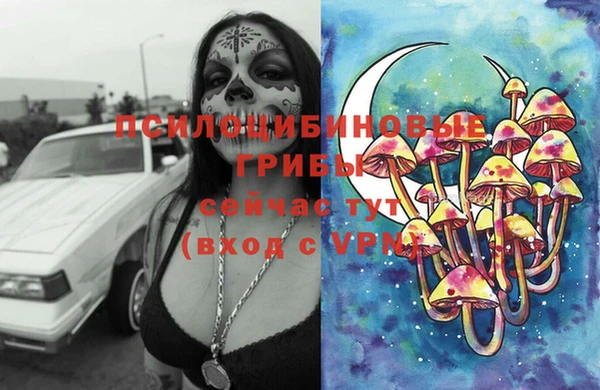 spice Богородицк