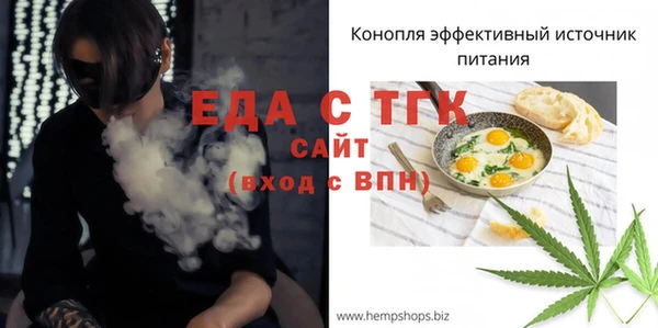 spice Богородицк