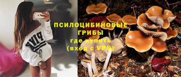 герыч Богданович