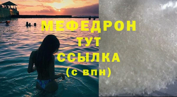 spice Богородицк