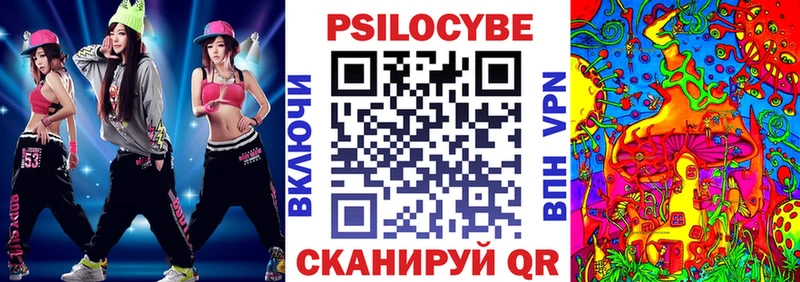 наркошоп  Тихорецк  Псилоцибиновые грибы Psilocybe 